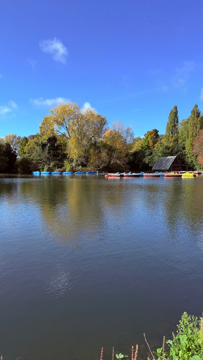 Explore the Best Things to Do in Battersea Park: Your Ultimate Day Out