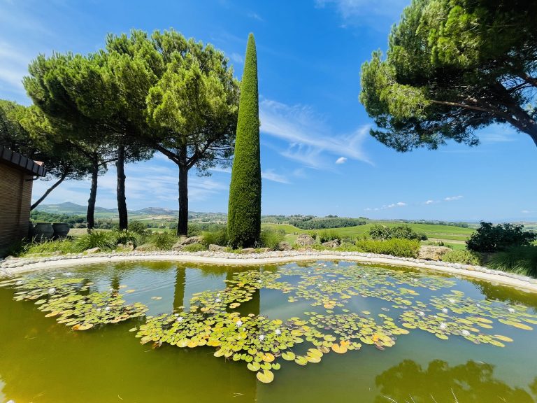 6 Best Vineyards In Montepulciano You Must Not Miss